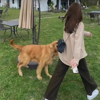 移情别恋